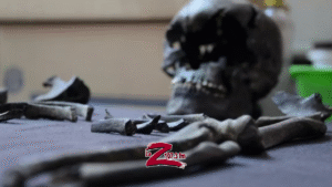 Descubren&nbsp; restos humanos en el Aeropuerto de Santa Luc&iacute;a