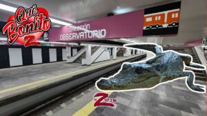 &iexcl;Rescatan a cocodrilo en el metro de la CDMX!