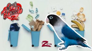 &iexcl;Loro aprende a separar la basura!