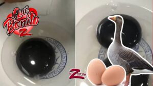 &iquest;Ganso que pone huevos de yema negra?