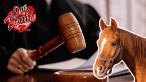 Caballo maltratado demanda a su ex propietario por más de 100.000 USD