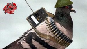 Detienen 16 palomas por sospechas de espionaje internacional
