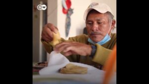 México: pulpos criados en cautiverio ¿Comerlos o salvarlos?