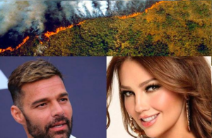 Famosos reaccionan a los incendios del Amazonas