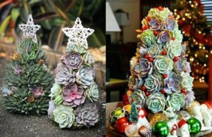 Árboles de navidad con suculentas, la decoración que se está poniendo de moda