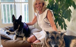 Tras triunfo virtual de Joe Biden, perrito rescatado vivir&aacute; en la Casa Blanca
