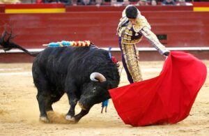 Tauromaquia no será considerada por la UNESCO como Patrimonio Cultural Inmaterial de la Humanidad