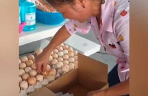 #VideoViral: Nace pollito en cartón de huevos que ya se encontraba a la venta