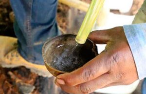 Mezcal: 7 datos que te har&aacute;n todo un conocedor del elixir de los dioses