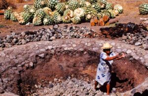 Mezcal: 7 datos que te har&aacute;n todo un conocedor del elixir de los dioses