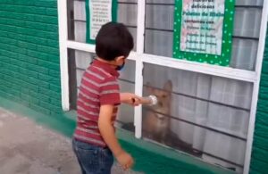 Video: Peque&ntilde;o realiza reportaje de perritos callejeros y se viraliza