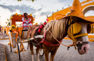 &iexcl;Hermosa! 😍 Peque&ntilde;a norteamericana se viraliza por vestir traje yucateco