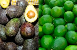 &iexcl;Atenci&oacute;n amas de casa! Precio de aguacate y lim&oacute;n subi&oacute; en los &uacute;ltimos d&iacute;as