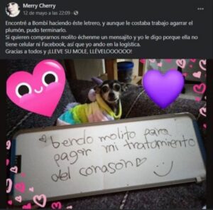 #Viral: "Bombi", la perrita que vende mole para pagar su tratamiento del corazón