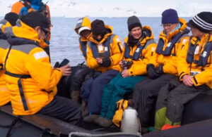 Ping&uuml;ino salta a una lancha y se salva de ser comido por grupo de orcas