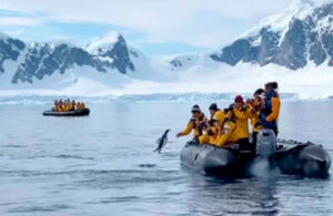 Ping&uuml;ino salta a una lancha y se salva de ser comido por grupo de orcas