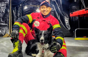 &iexcl;Indignante! Envenenan a Athos y Tango, perritos rescatistas de la Cruz Roja Mexicana
