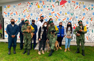 Personal del Ej&eacute;rcito Mexicano convierte escuela en albergue para perritos