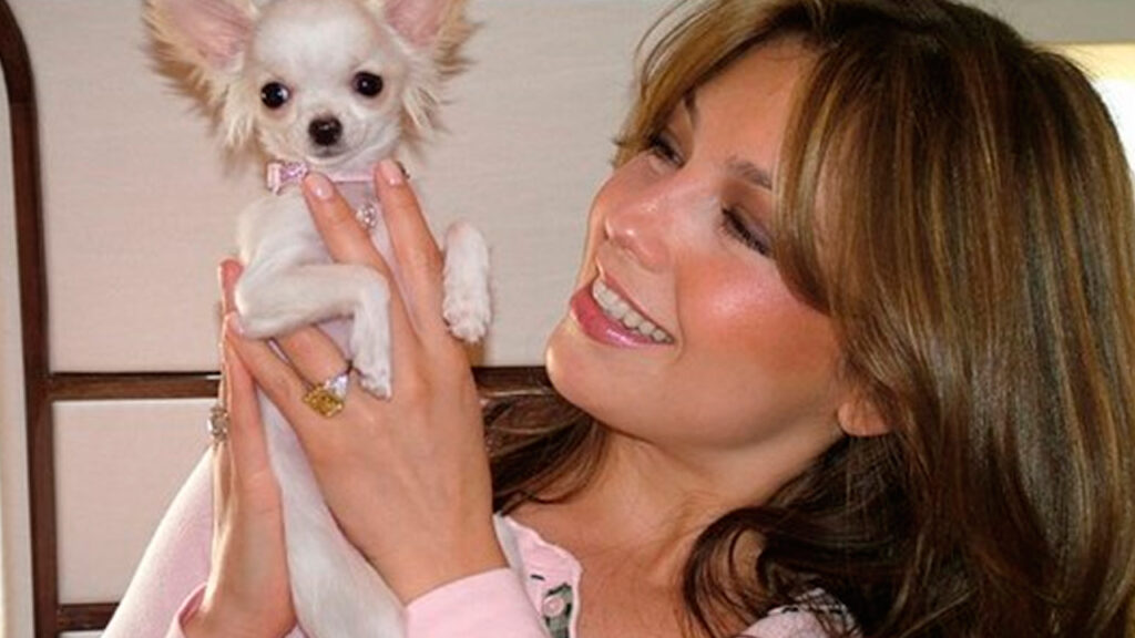 Thal&iacute;a se viste de luto tras lamentable p&eacute;rdida de uno de sus animalitos