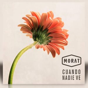Cuando Nadie Ve