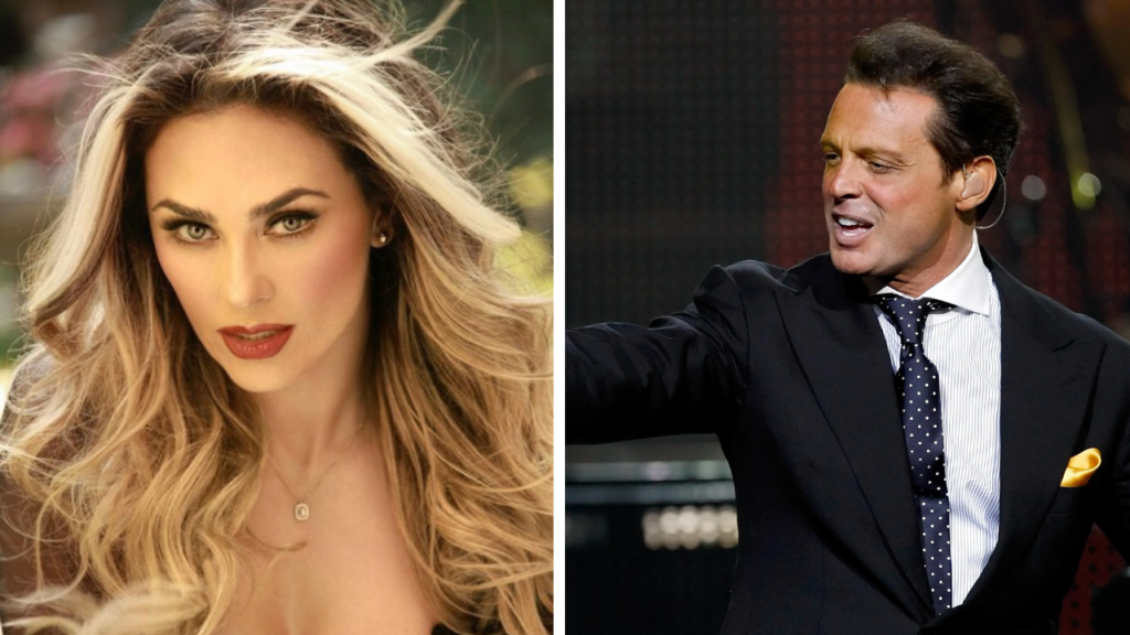 Despu&eacute;s de cumplir con sus obligaciones econ&oacute;micas, el abogado de Aracely Ar&aacute;mbula explica cu&aacute;l es la situaci&oacute;n legal de Luis Miguel sobre la manutenci&oacute;n de sus hijos.