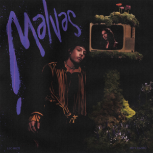 Malvas