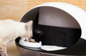 Conoce Catspad, un dispensador inteligente de alimento para gatos
