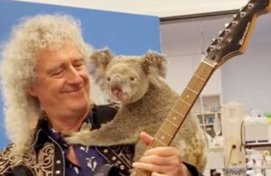 Brian May toc&oacute; por los Koalas afectados de Australia
