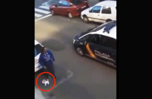 VIDEO: Hombre en cuarentena quiere enga&ntilde;ar a la polic&iacute;a paseando un perro &iexcl;de peluche!