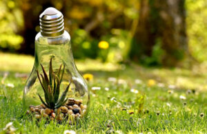 Permitir con la naturaleza