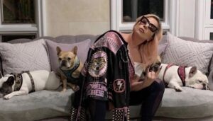 Secuestro perros de Lady Gaga