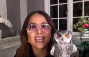 El d&iacute;a que el b&uacute;ho de Salma Hayek vomit&oacute; sobre la cabeza de Harry Styles