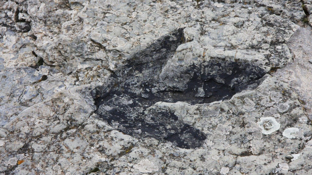 huella de dinosaurio