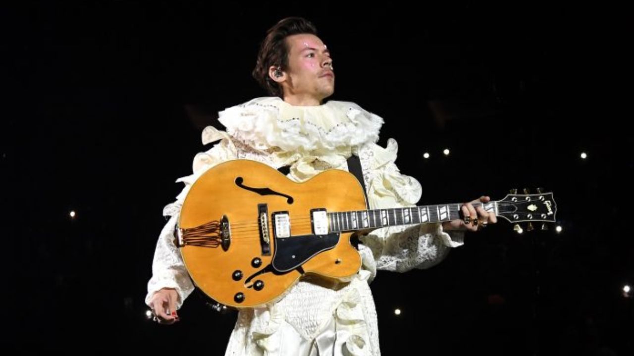 Harry Styles Fan