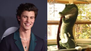 Shawn Mendes cinta