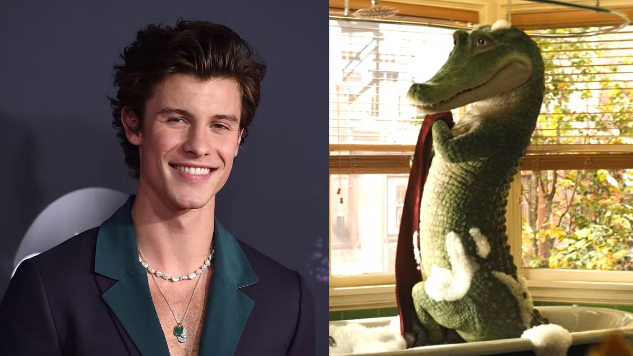 Shawn Mendes cinta