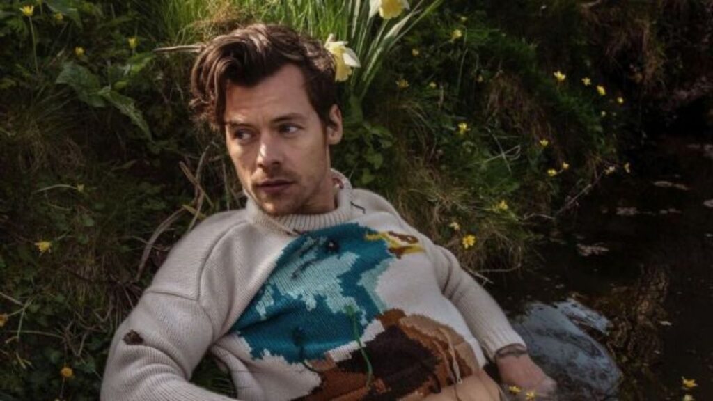 Harry Styles