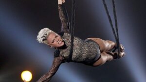 Pink: Los shows mas ic&oacute;nicos de su carrera
