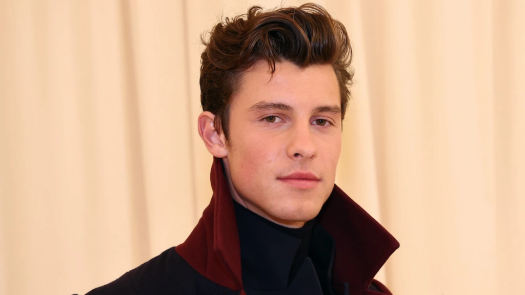 Shawn Mendes estar&iacute;a saliendo con su quiropr&aacute;ctica de 51 a&ntilde;os
