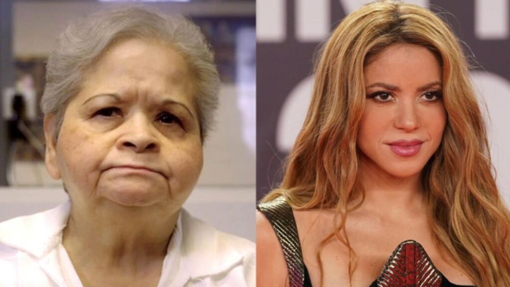 Yolanda Sald&iacute;var quiere trabajar para Shakira