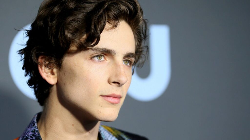 Timoth&eacute;e Chalamet: "El mundo necesita un nuevo Bob Dylan"