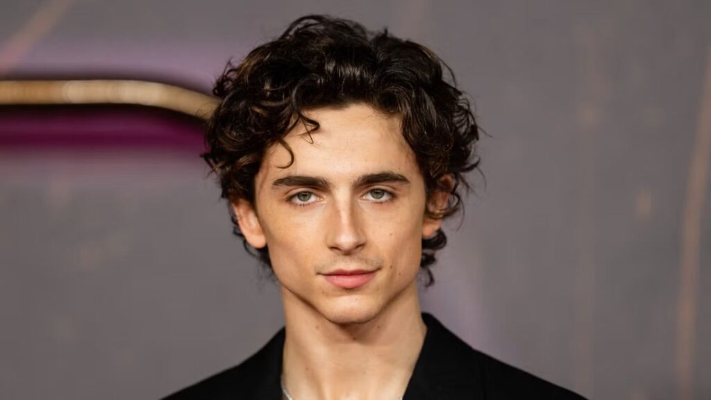 Timoth&eacute;e Chalamet debuta en listas de &aacute;lbumes de Billboard