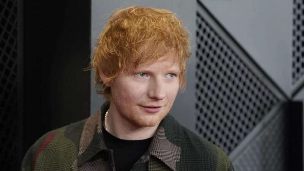 Ed Sheeran es interrumpido por la polic&iacute;a en pleno concierto