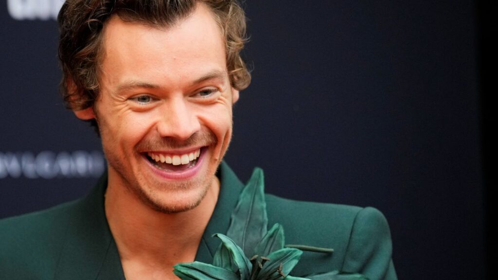 &iquest;Harry Styles impide el regreso de One Direction?