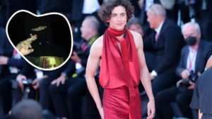🎭 &iquest;Timoth&eacute;e Chalamet es en realidad EsDeeKid? El internet enloquece con la teor&iacute;a del momento