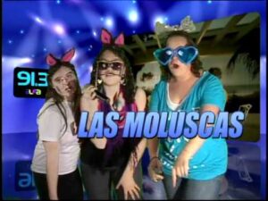 las moluscas en el Alfaset