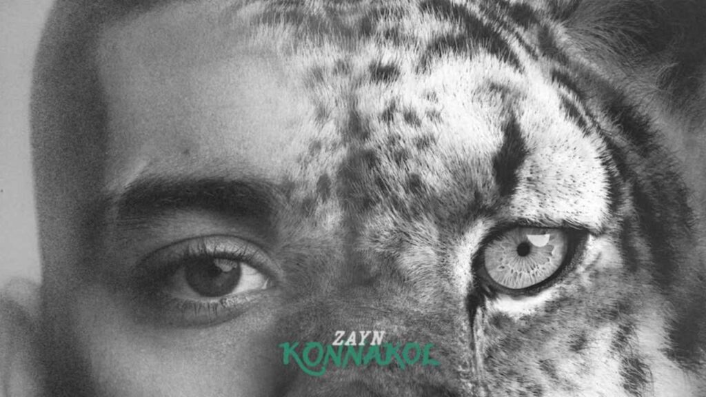Zayn Malik y el equilibrio entre la m&uacute;sica y su bienestar personal