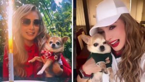 Paty Navidad se despide con profundo dolor de su gran compa&ntilde;ero de vida