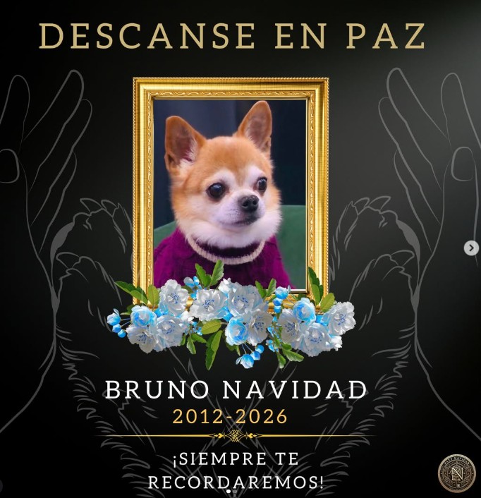 Paty Navidad se despide con profundo dolor de su gran compa&ntilde;ero de vida