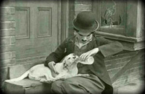 8 celebridades que est&aacute;n en contra del maltrato animal